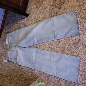 Buckle Willow and Root Wide Leg Jeans